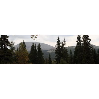 ИРЕМЕЛЬ