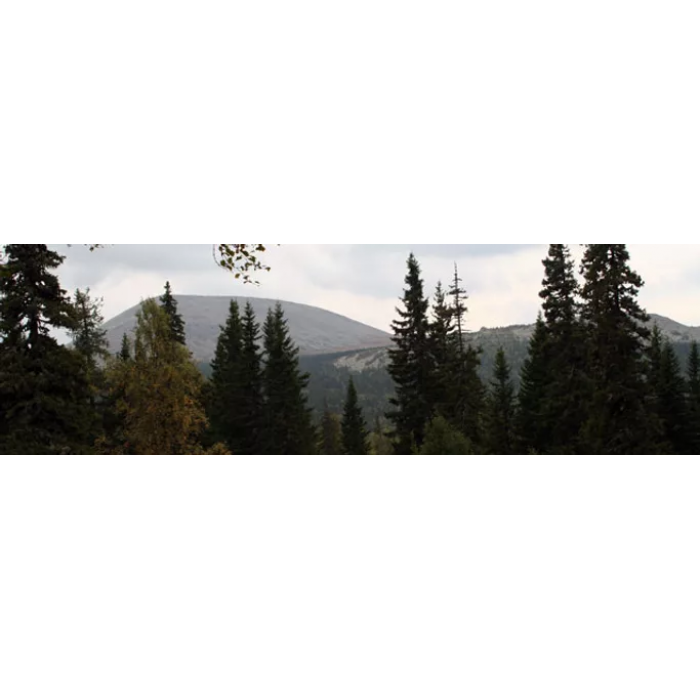 ИРЕМЕЛЬ